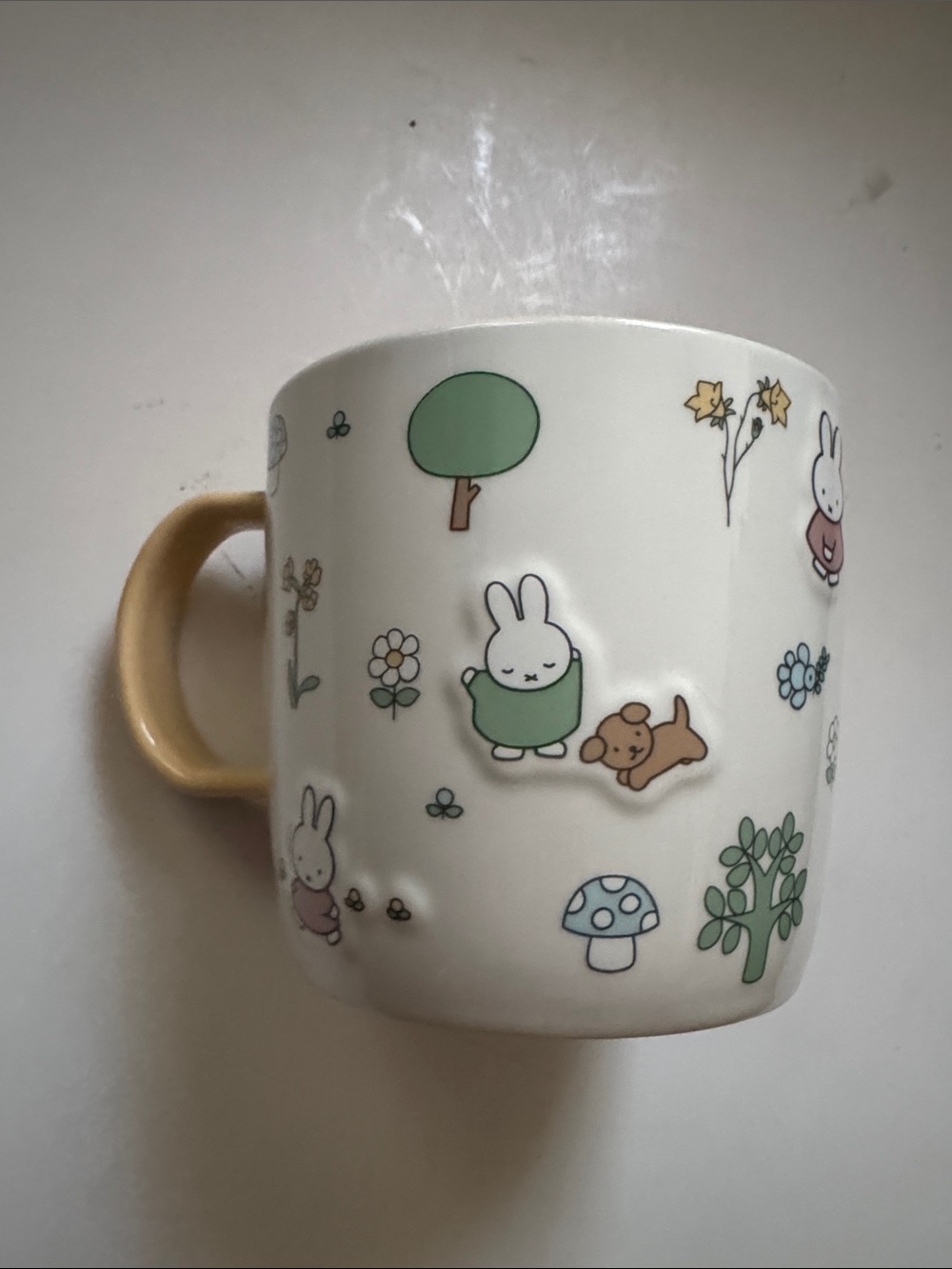 MIFFY By Magenta Yellow Mug